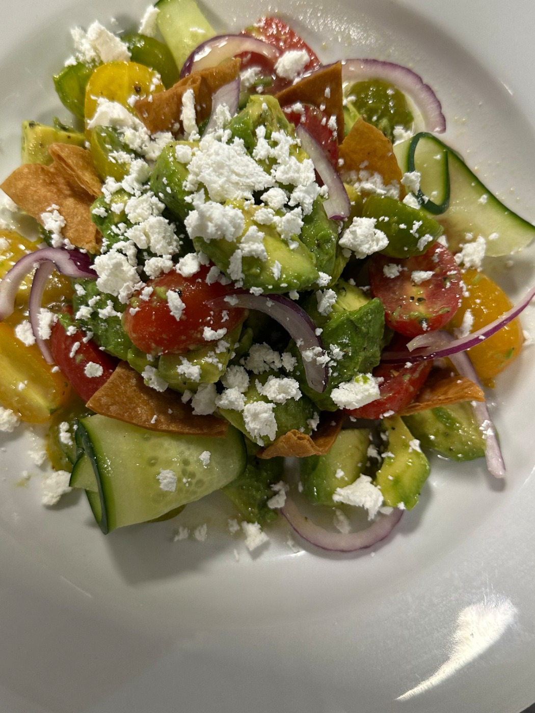 IMG_2518.jpeg IMG_2518.jpeg