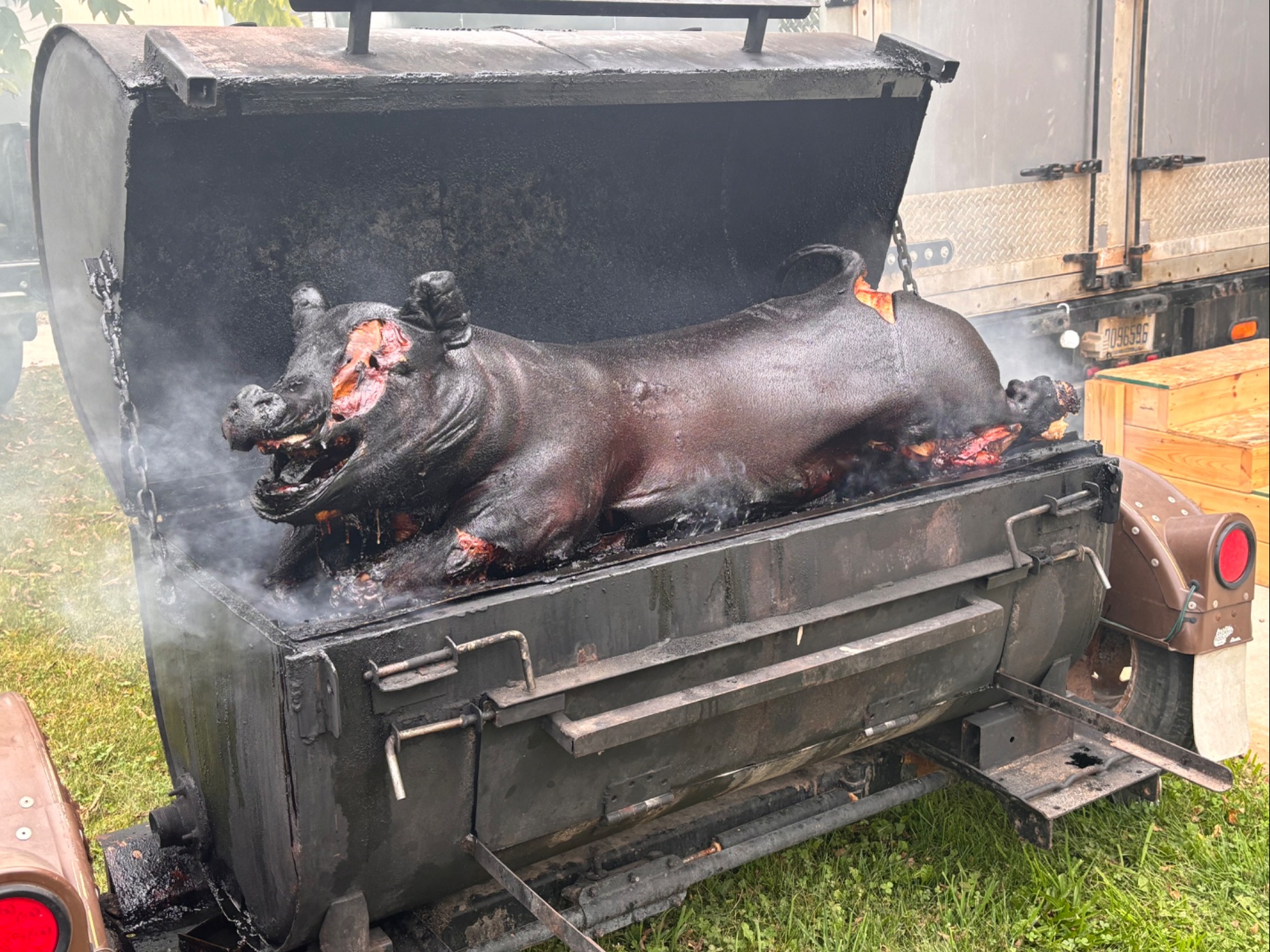 IMG_8386.jpeg IMG_8386.jpeg