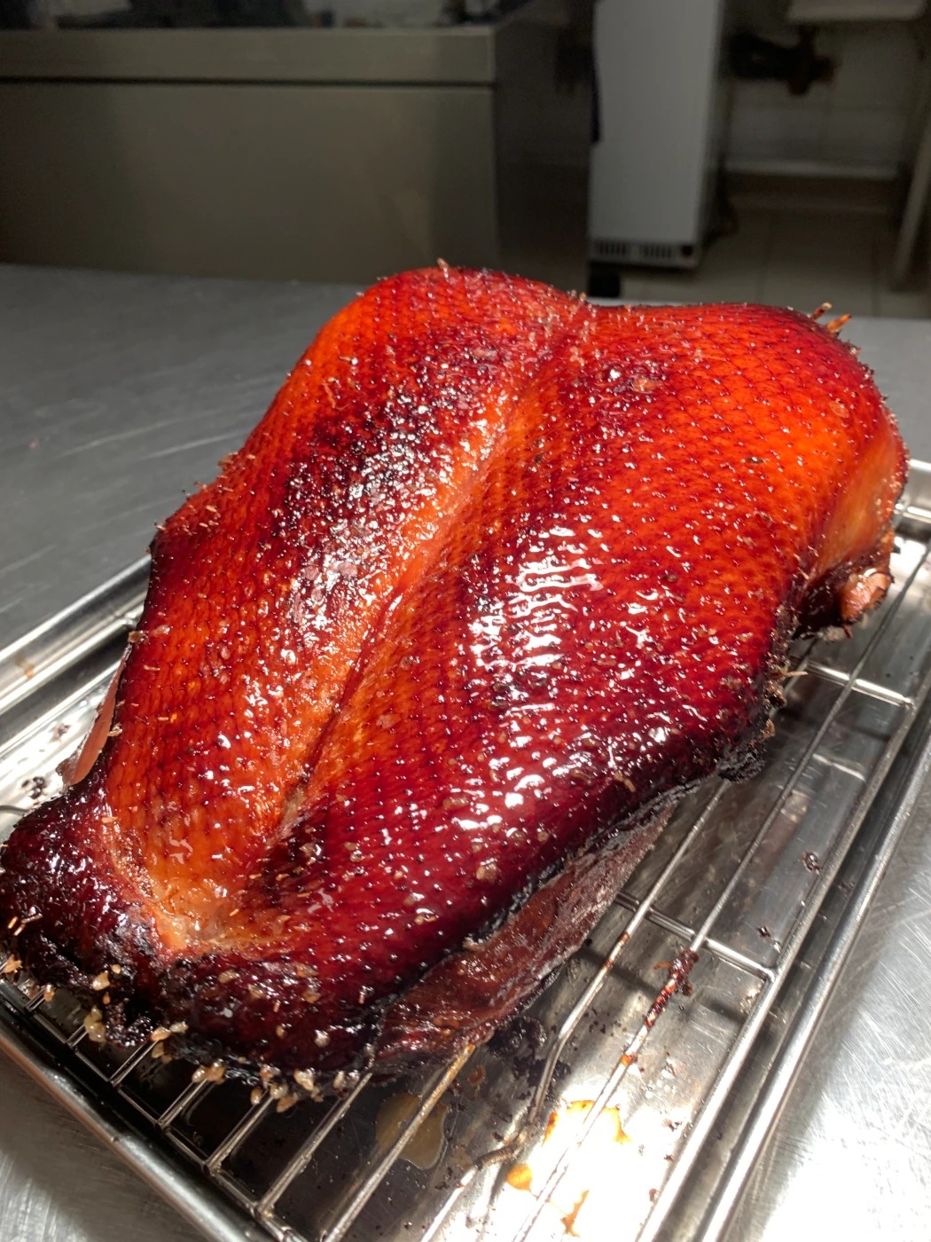 IMG_5532 2.jpg IMG_5532 2.jpg