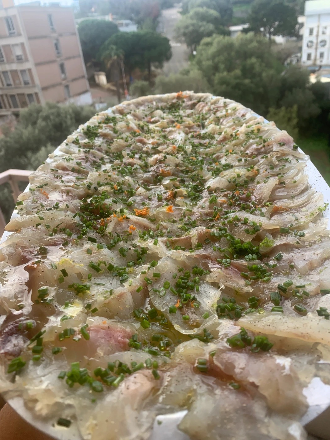 IMG_3450 2.jpg IMG_3450 2.jpg