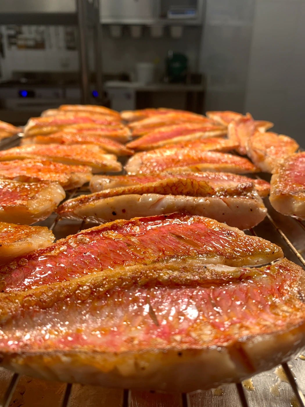 IMG_3047 2.jpg IMG_3047 2.jpg