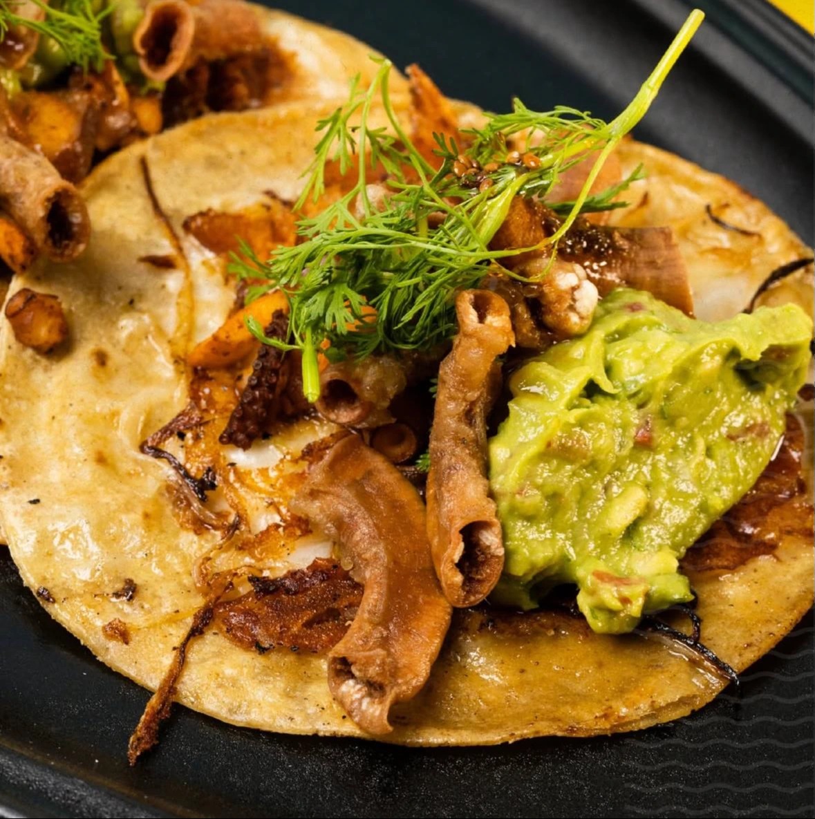 WhatsApp Image 2025-05-12 at 3.58.22 PM.jpeg WhatsApp Image 2025-05-12 at 3.58.22 PM.jpeg