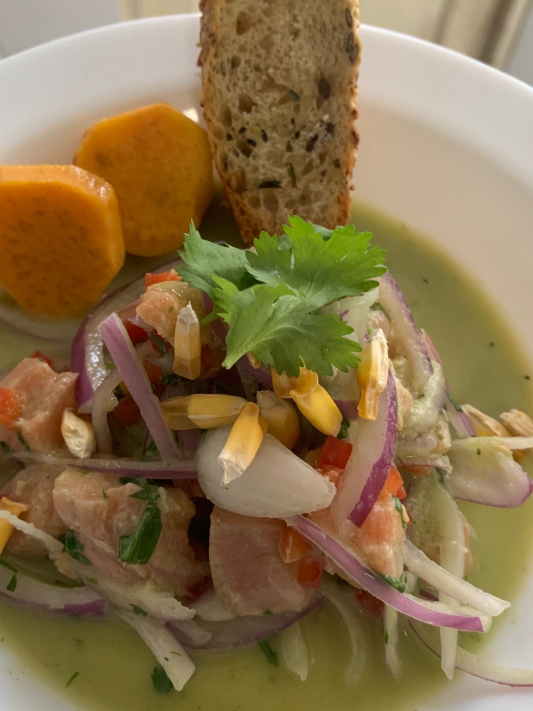 IMG_3049.jpeg IMG_3049.jpeg