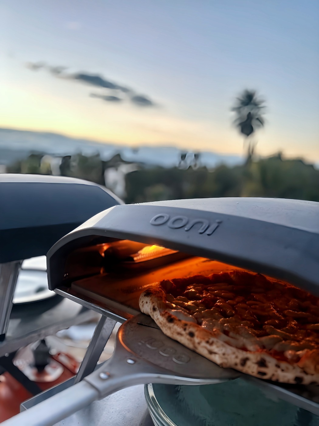 IMG_8938.png IMG_8938.png