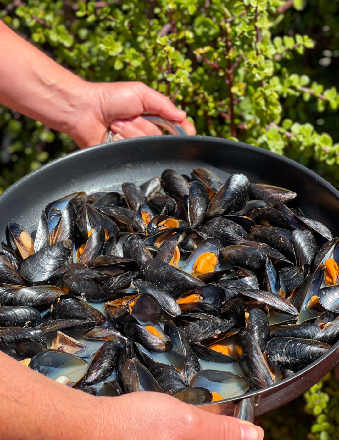 IMG_0343.jpg IMG_0343.jpg