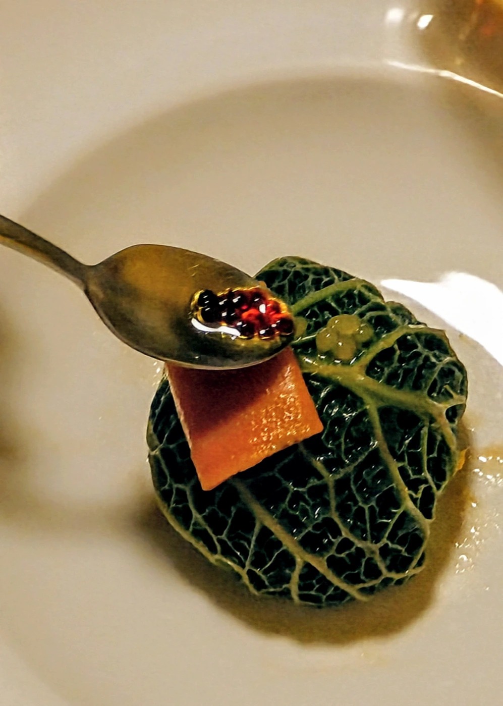 1000000147.jpg 1000000147.jpg