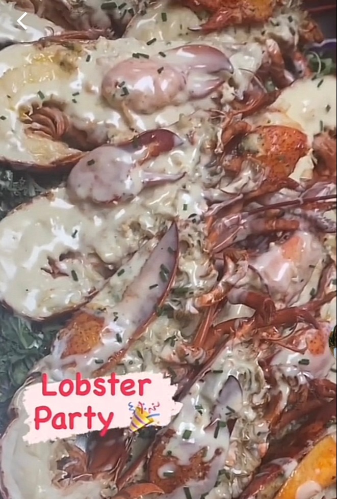 IMG_8199.jpeg IMG_8199.jpeg