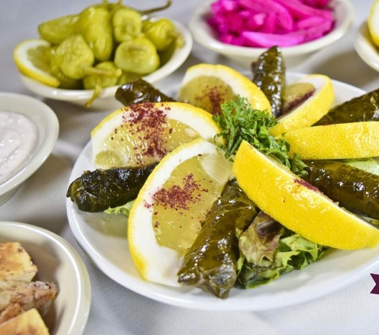 IMG_0566.jpeg IMG_0566.jpeg