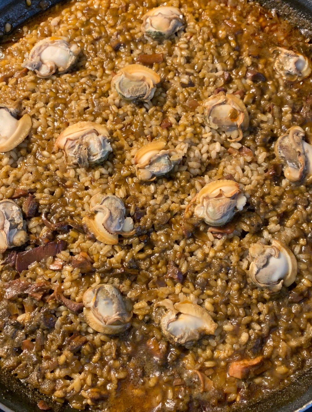 IMG_3619.jpeg IMG_3619.jpeg