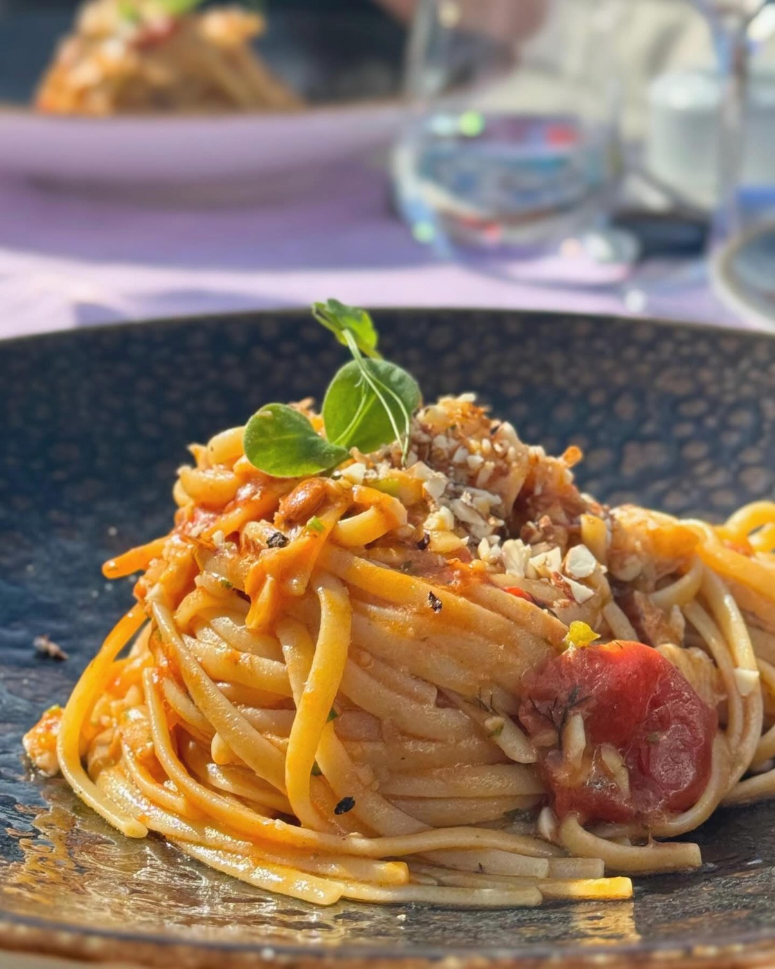 IMG_2588.jpeg IMG_2588.jpeg