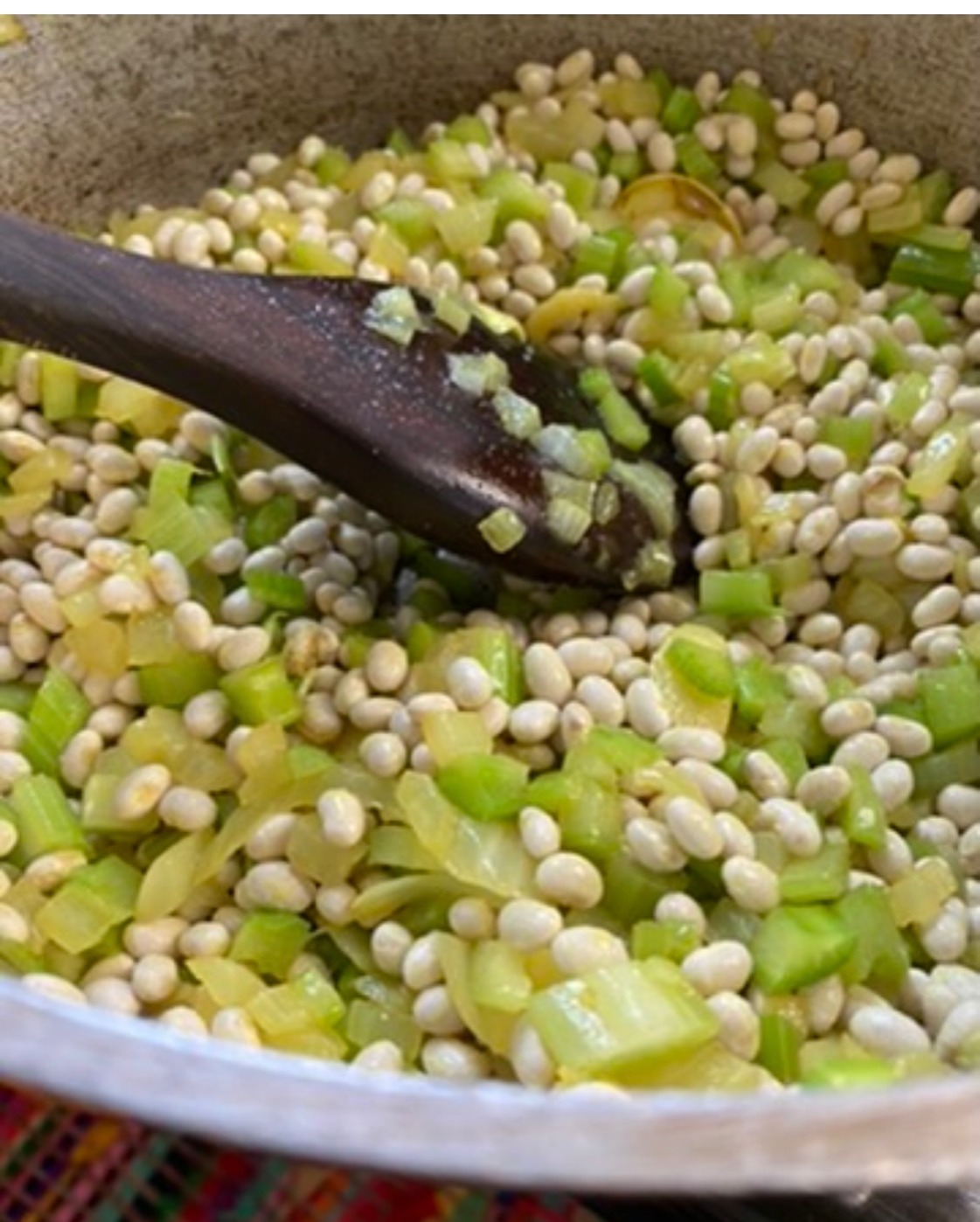 IMG_2340.jpeg IMG_2340.jpeg