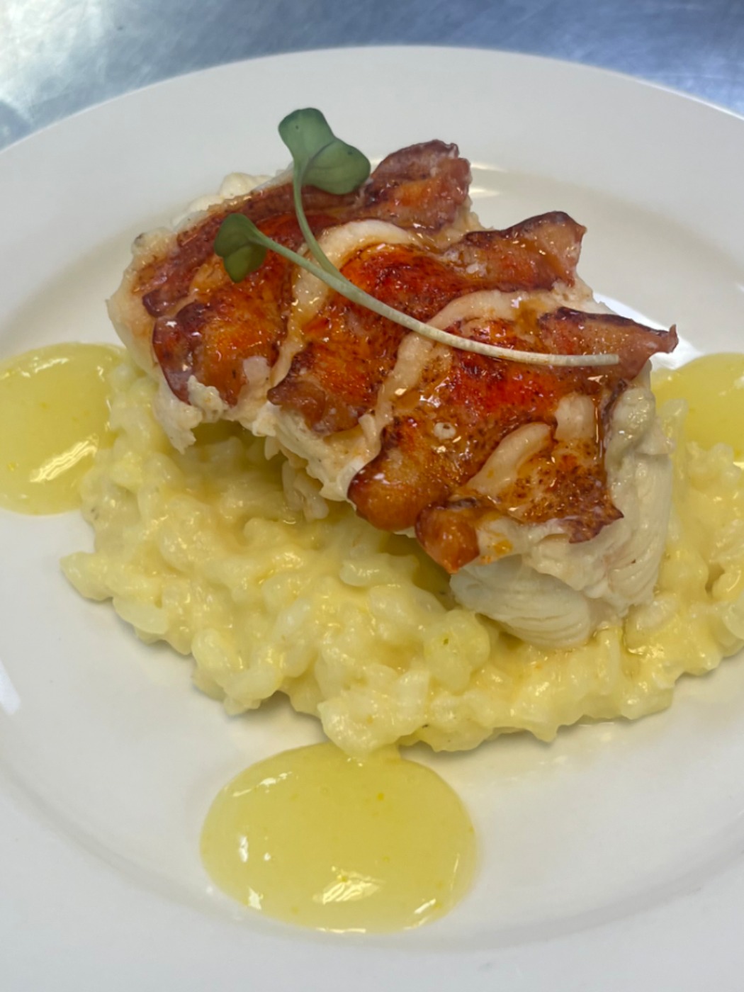 IMG_4449.jpeg IMG_4449.jpeg