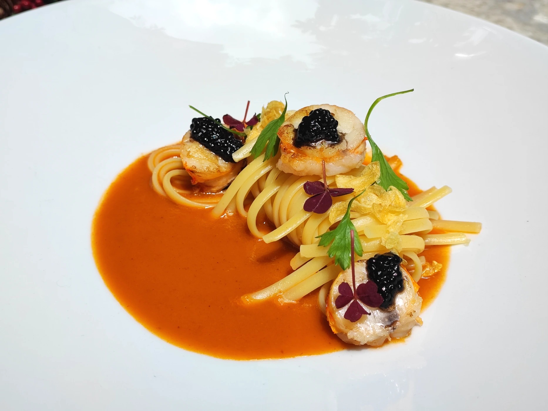 IMG_20221028_115007.jpg IMG_20221028_115007.jpg