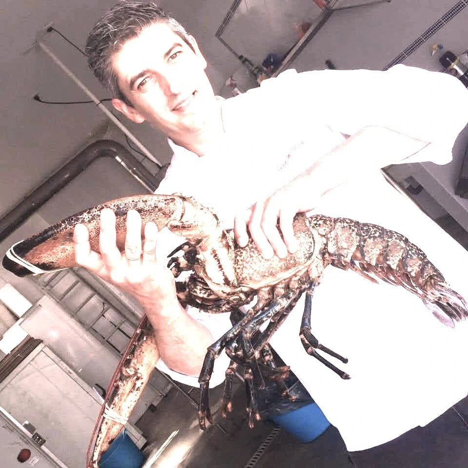 foto saturada 2.jpeg