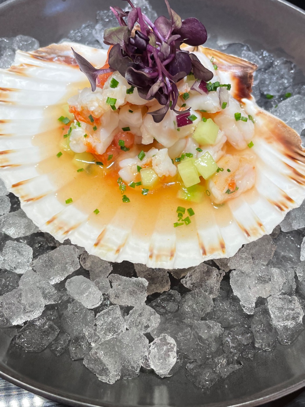 IMG_4130.jpeg IMG_4130.jpeg