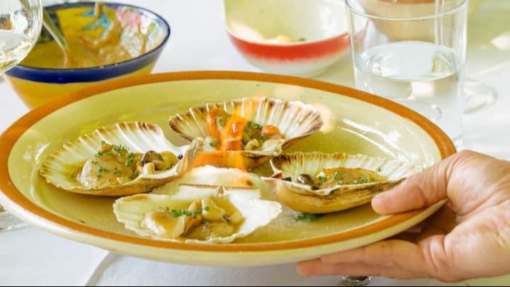 IMG_3341.jpeg IMG_3341.jpeg