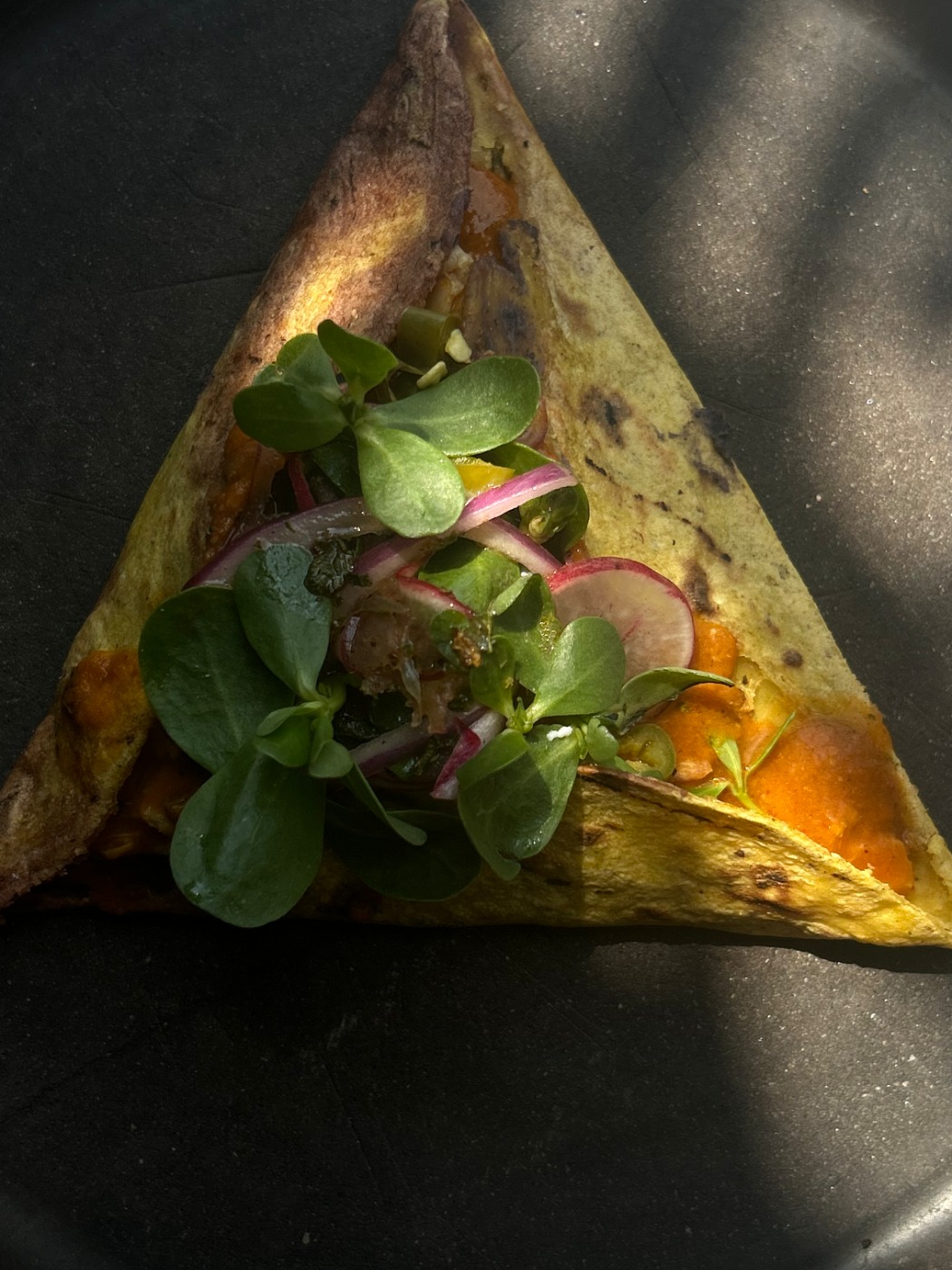 IMG_6231.jpeg IMG_6231.jpeg