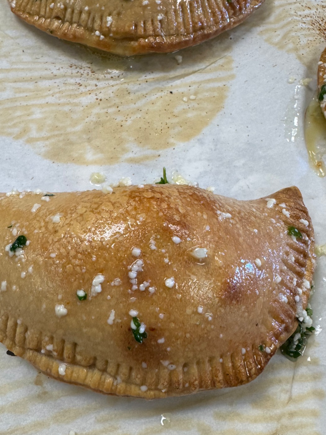 IMG_4931.jpeg IMG_4931.jpeg