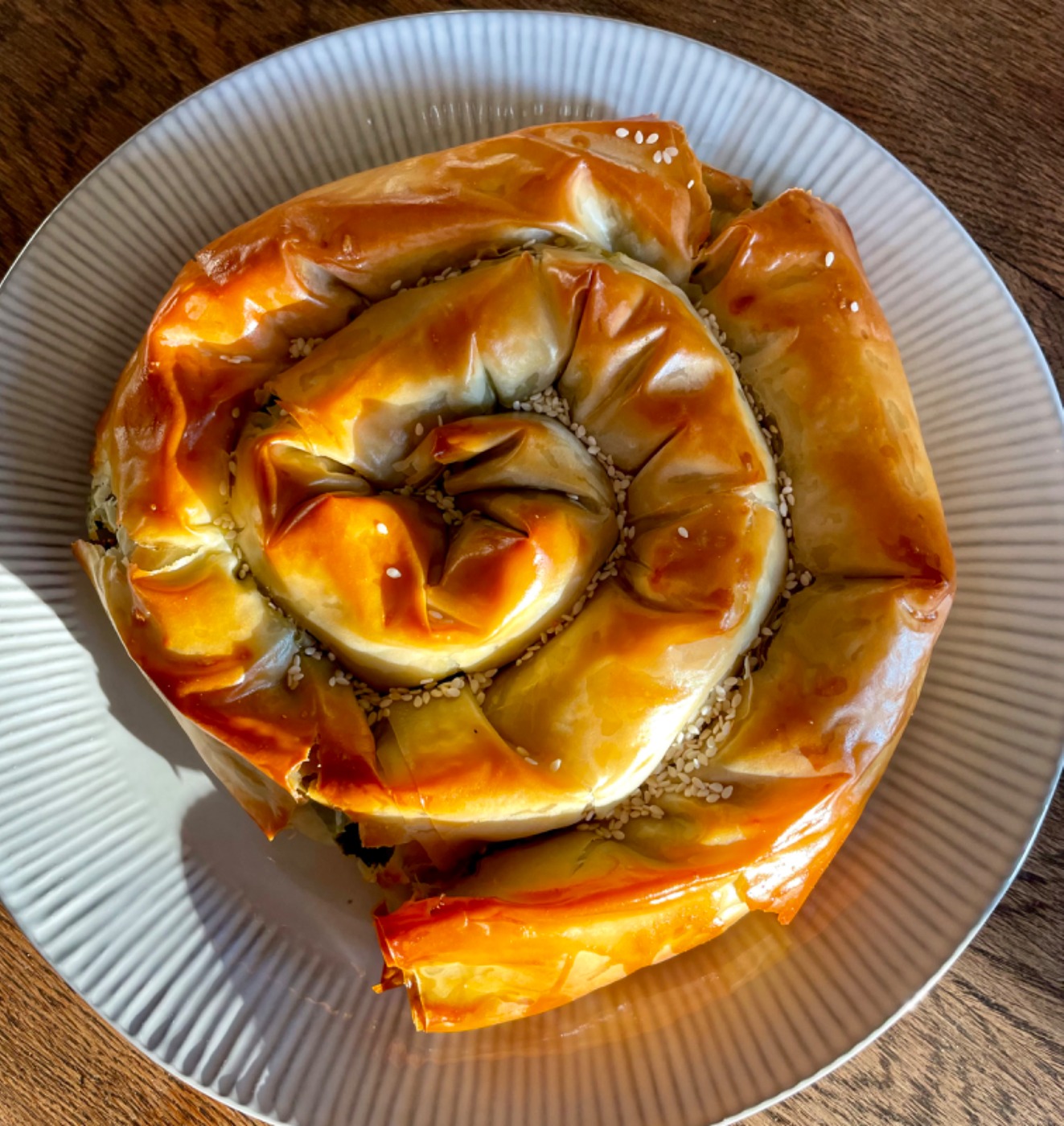 IMG_7582.jpeg IMG_7582.jpeg