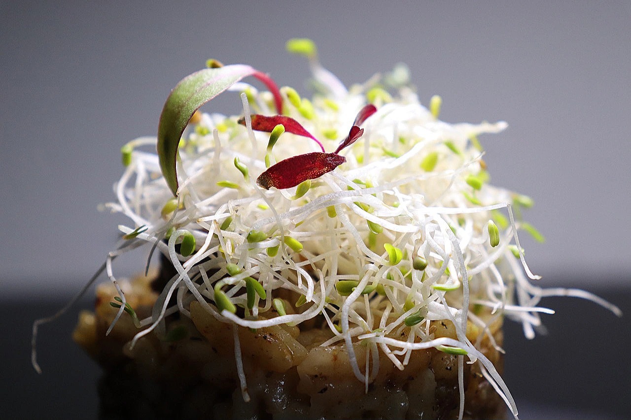 risotto radish.jpg
