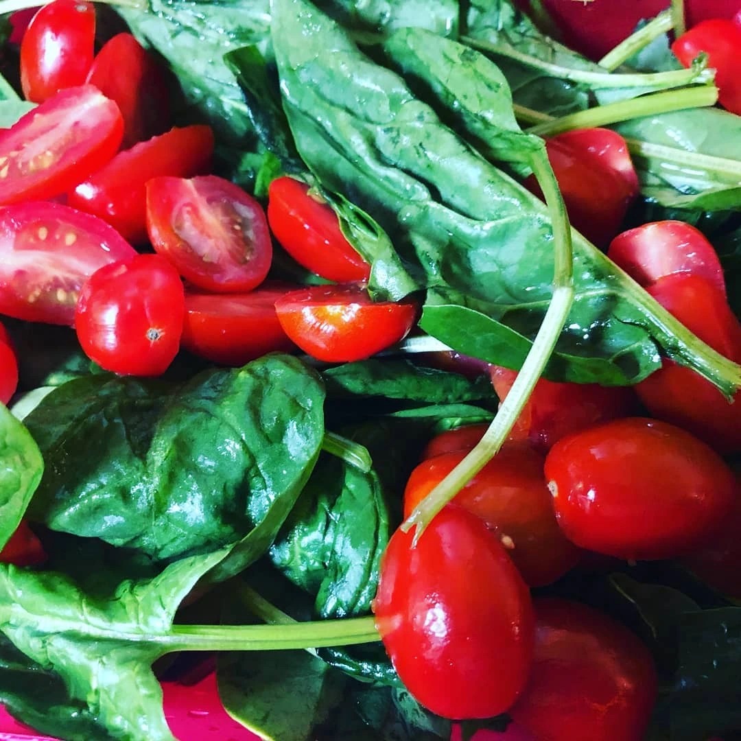 116876107_610548729890750_1801781279307722708_n.jpg 116876107_610548729890750_1801781279307722708_n.jpg