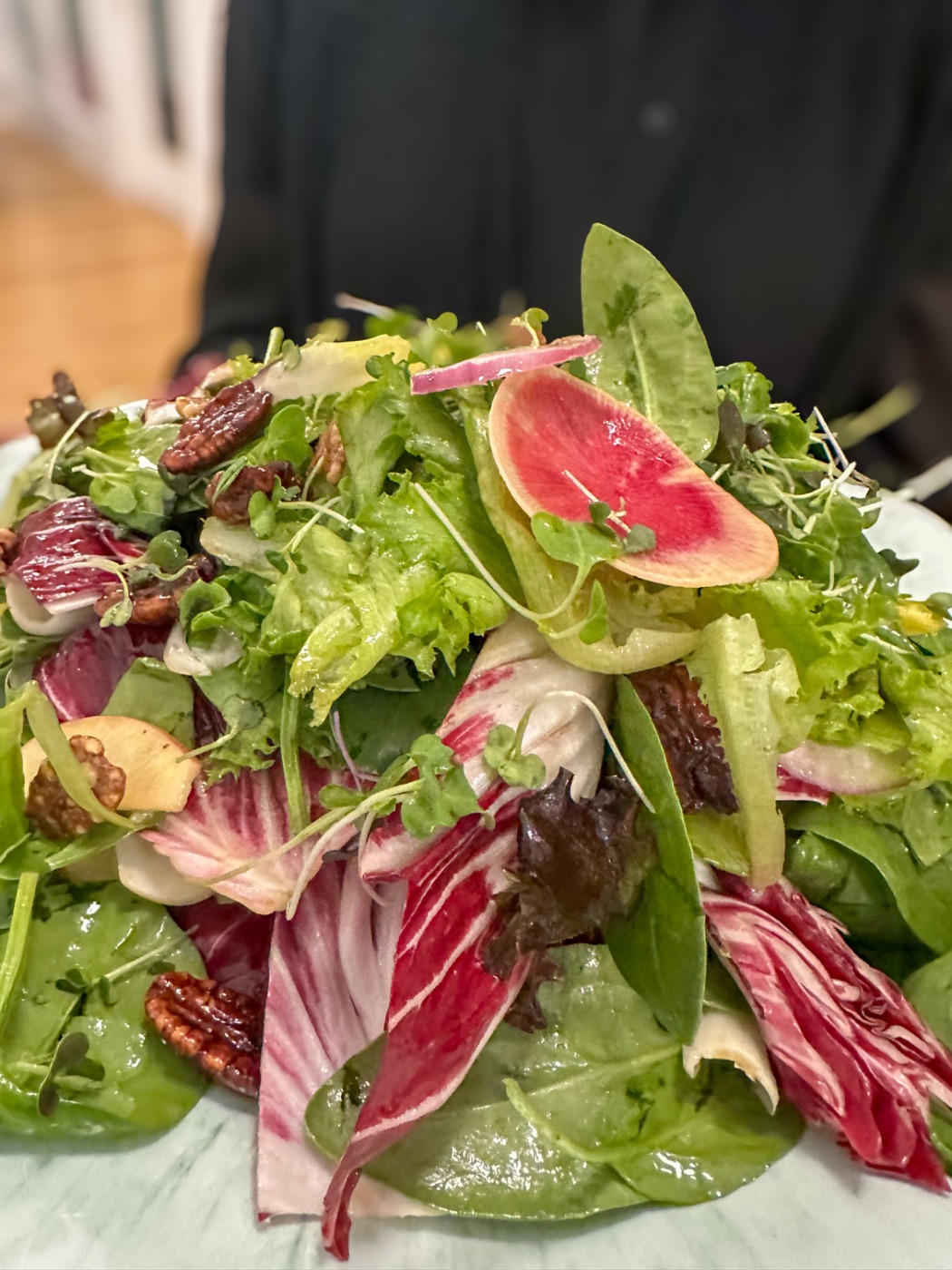 IMG_3740.jpeg IMG_3740.jpeg