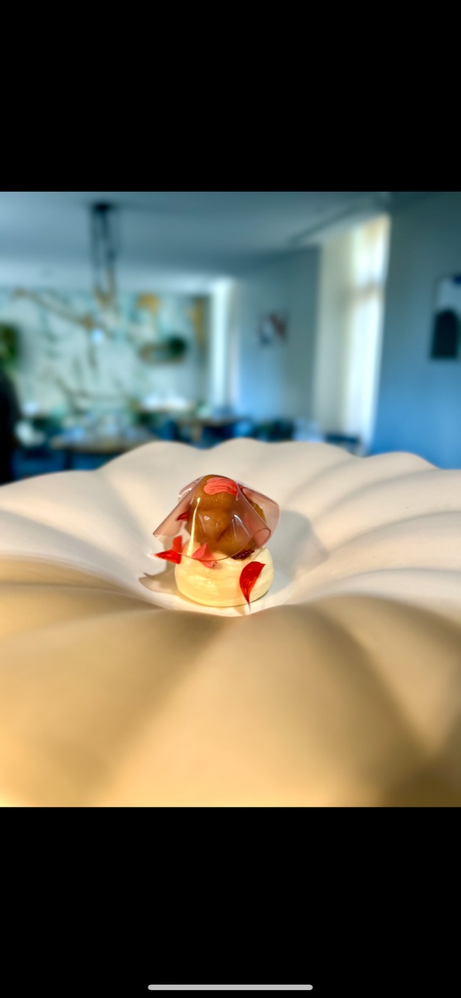 IMG_2729.png IMG_2729.png