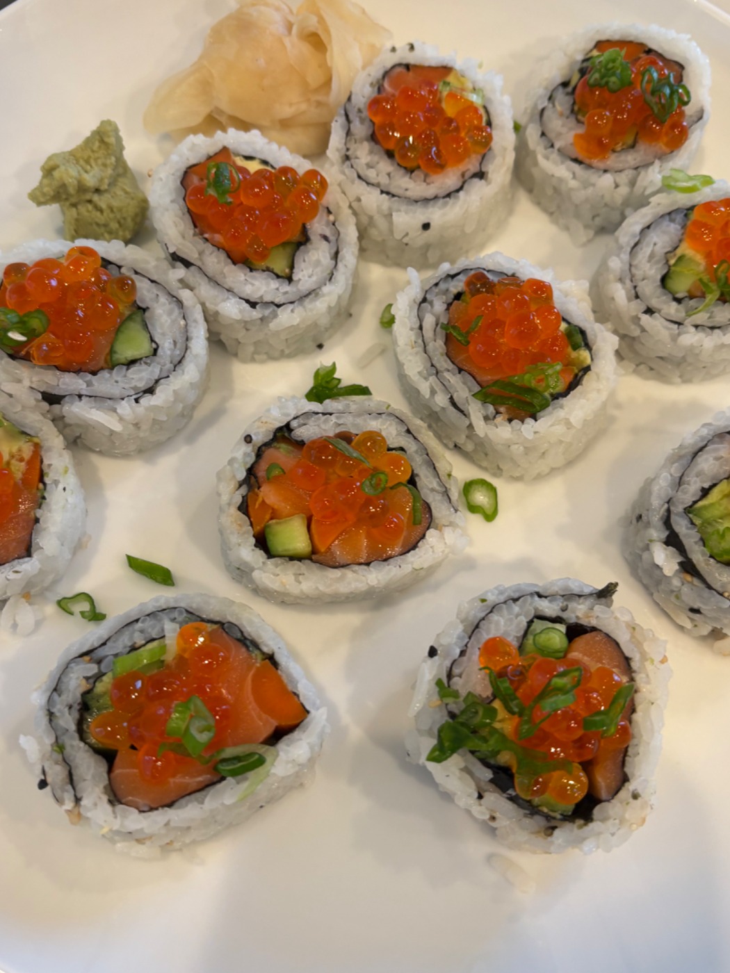 IMG_0459.jpeg IMG_0459.jpeg