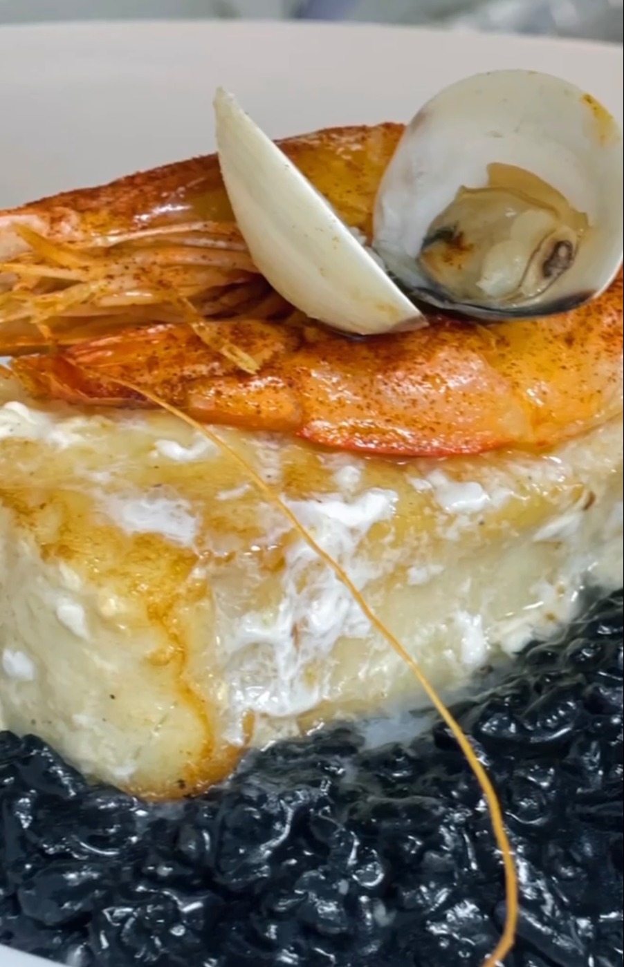 IMG_1712.jpeg IMG_1712.jpeg