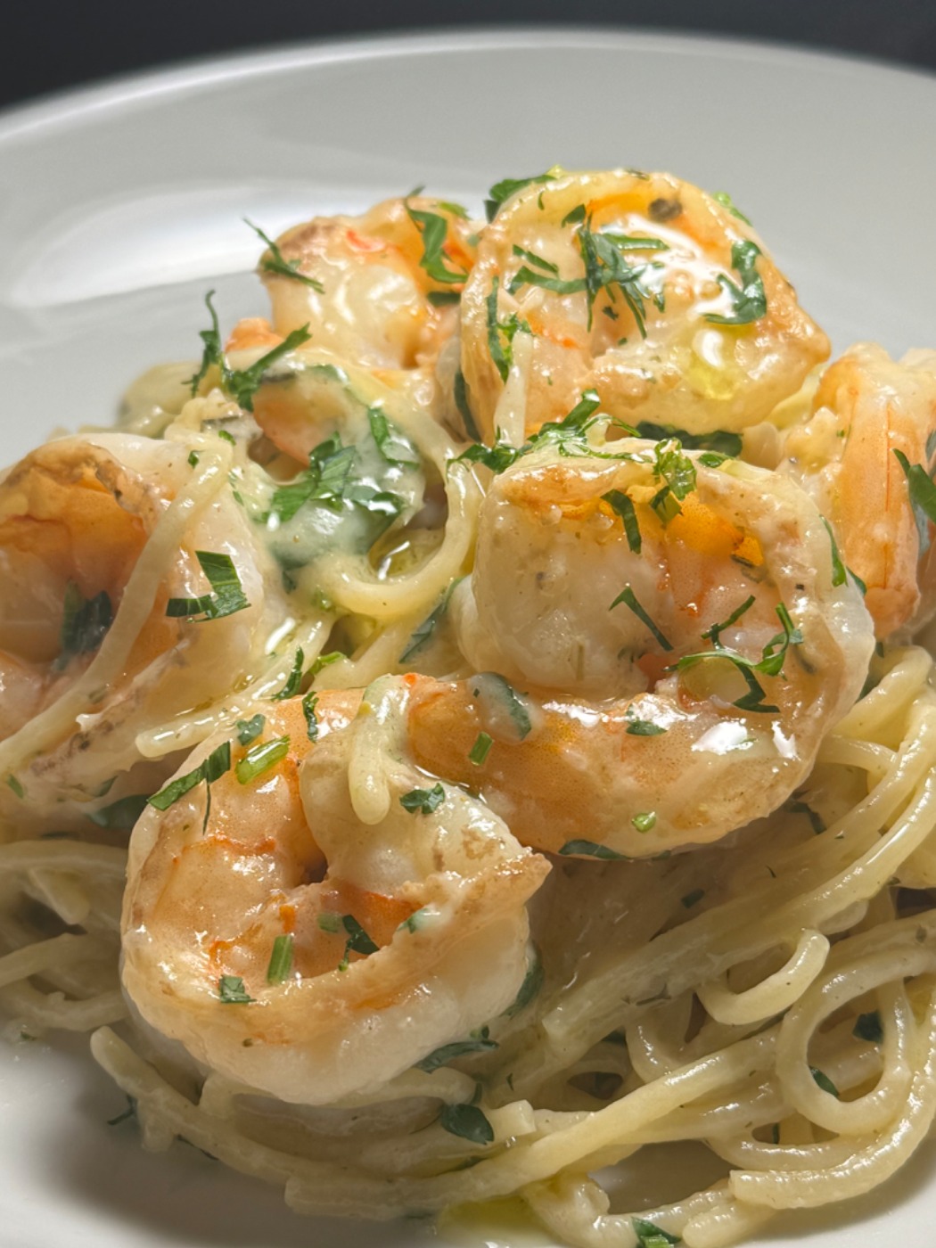 IMG_3441.jpeg IMG_3441.jpeg