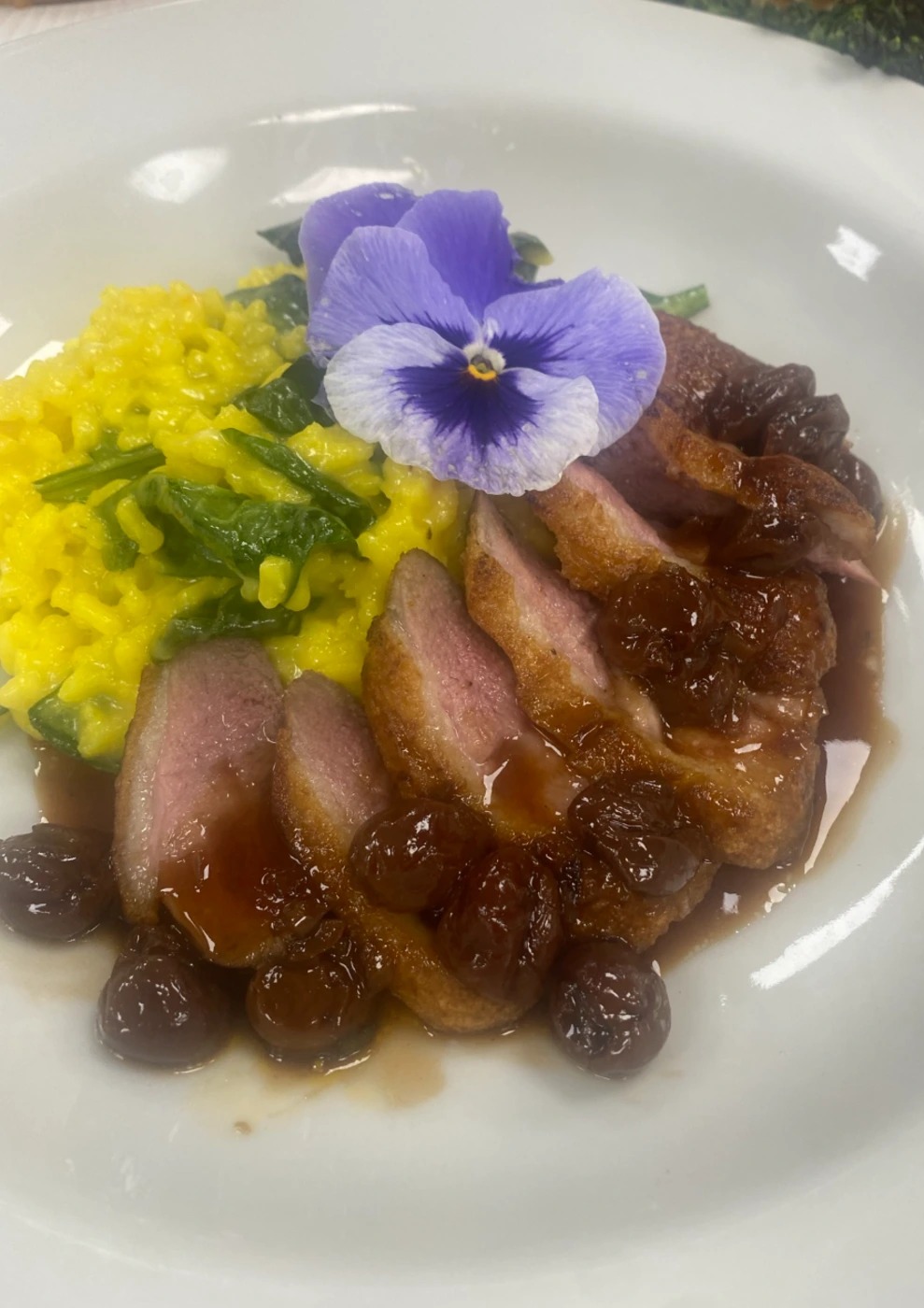 IMG_2831.JPEG IMG_2831.JPEG