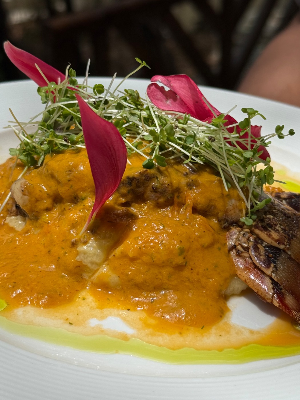 IMG_1601.jpeg IMG_1601.jpeg