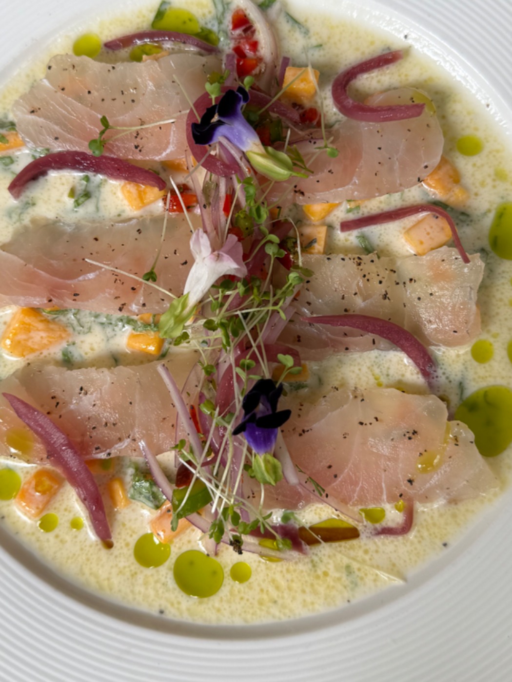 IMG_1579.jpeg IMG_1579.jpeg