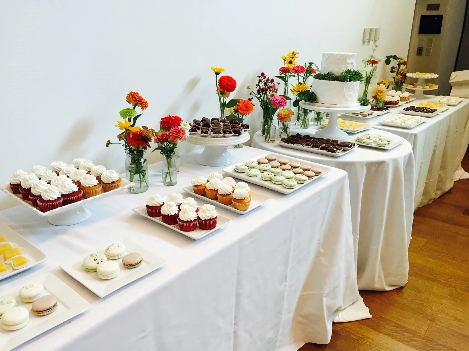 11713865_10152897660477015_6741523118703871538_o (2).jpg 11713865_10152897660477015_6741523118703871538_o (2).jpg