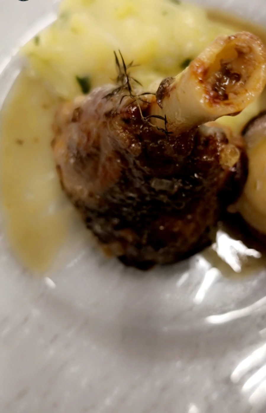 1000015204.jpg 1000015204.jpg