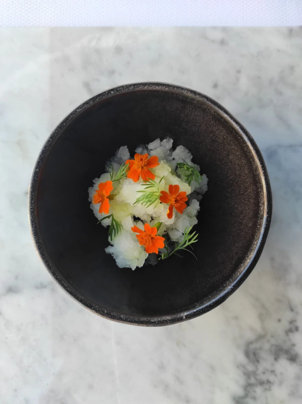 Elferflower Granita.jpeg