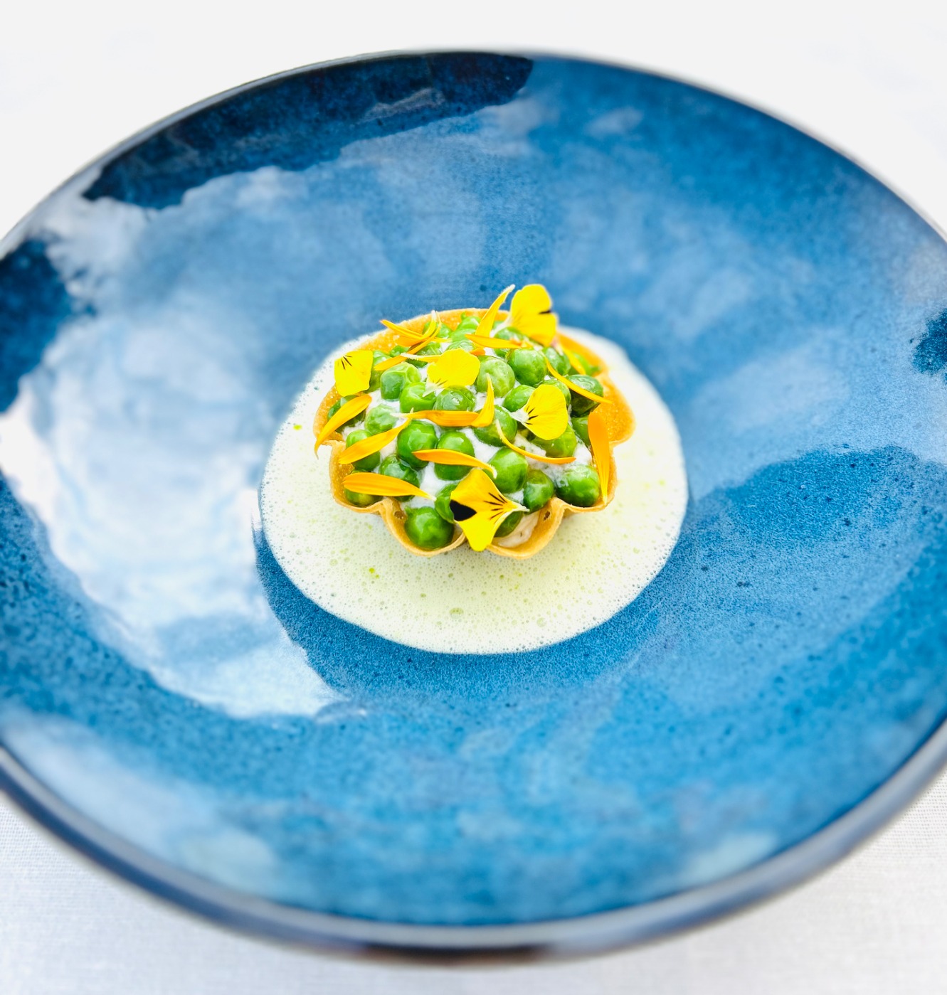 IMG_2843.jpeg IMG_2843.jpeg