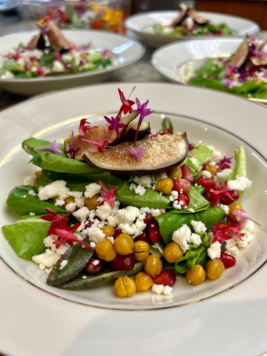 IMG_0258.jpeg IMG_0258.jpeg