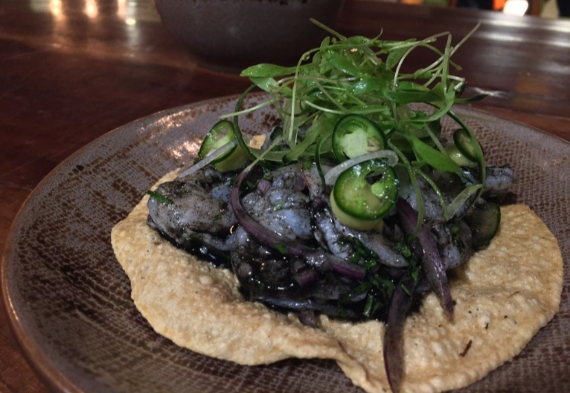 IMG_7615.jpeg IMG_7615.jpeg