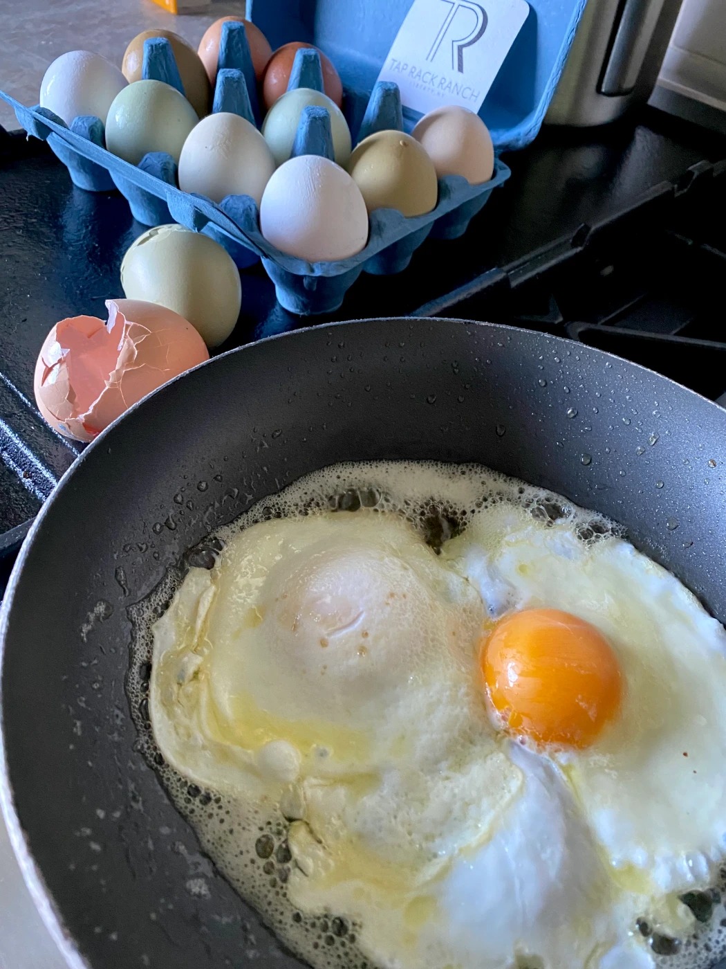 IMG_8386.jpeg IMG_8386.jpeg