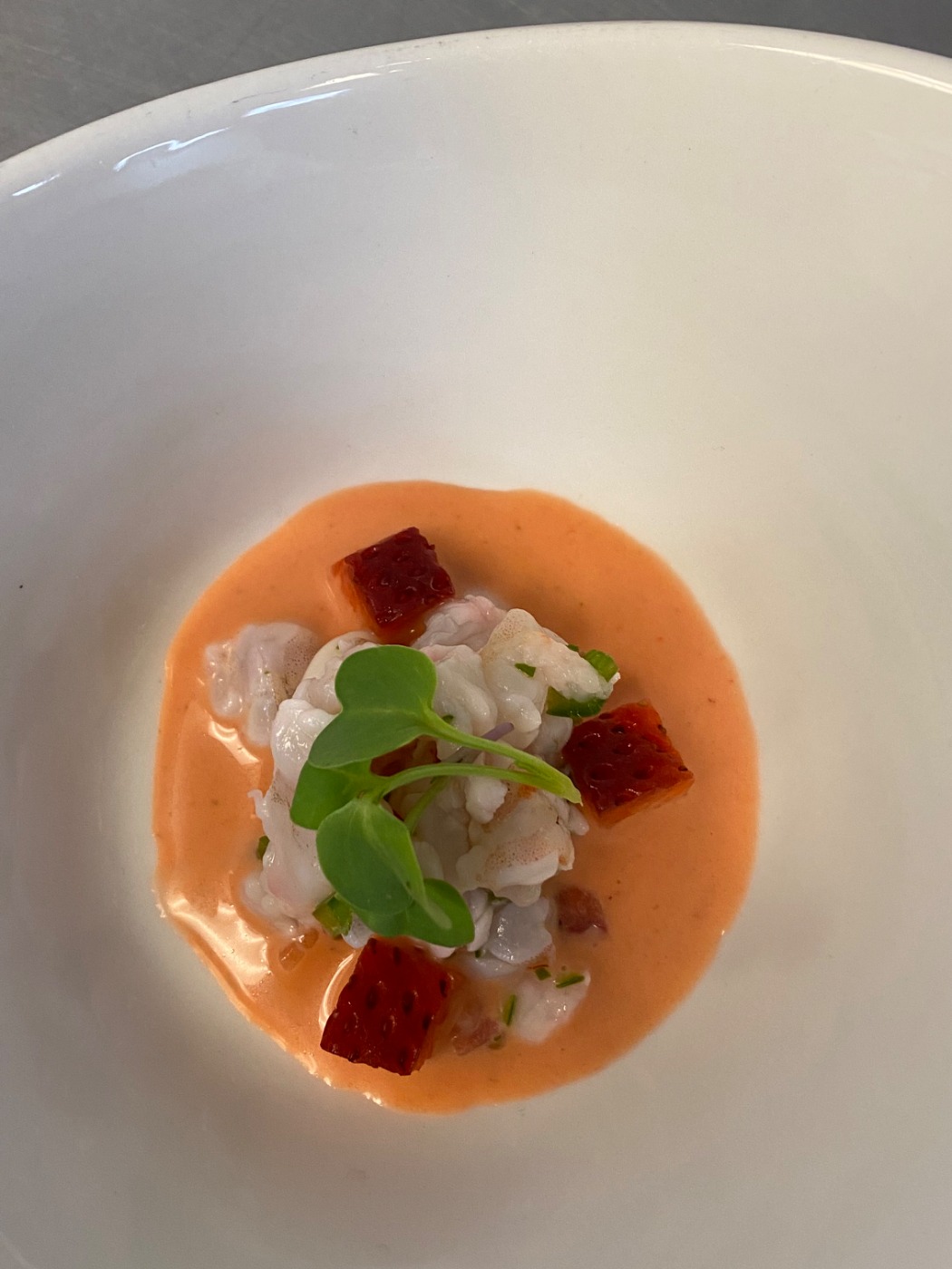 IMG_6422.jpeg IMG_6422.jpeg