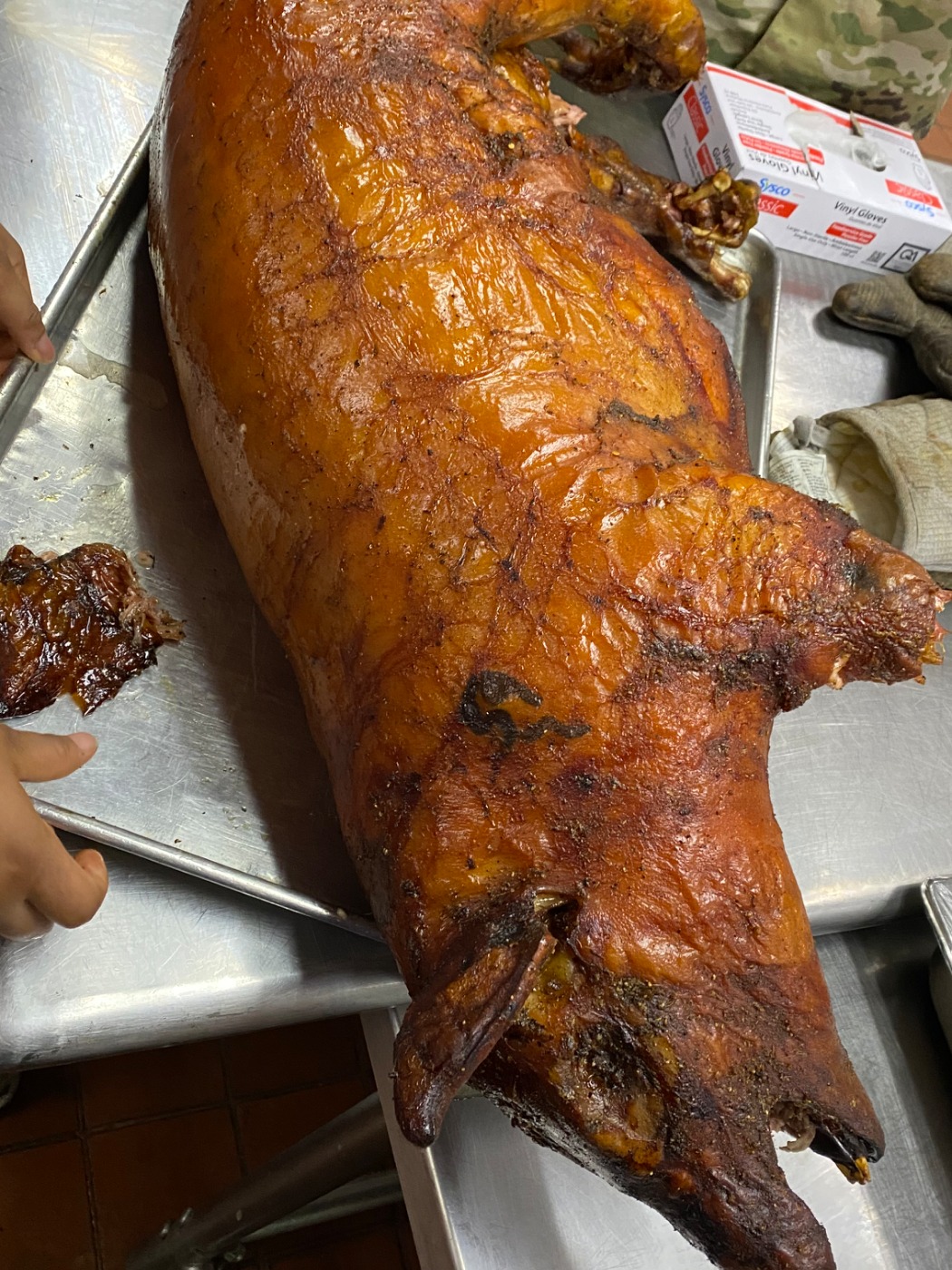 IMG_3966.jpeg IMG_3966.jpeg