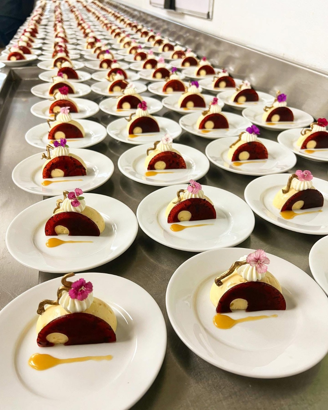 IMG_2109.jpeg IMG_2109.jpeg