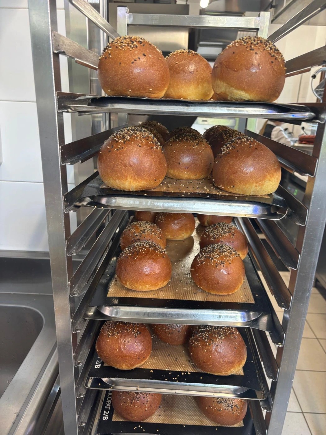 WhatsApp Image 2025-06-07 at 17.47.44 (12).jpeg