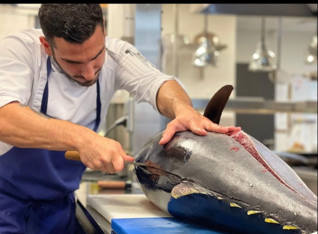 IMG_0535.png IMG_0535.png