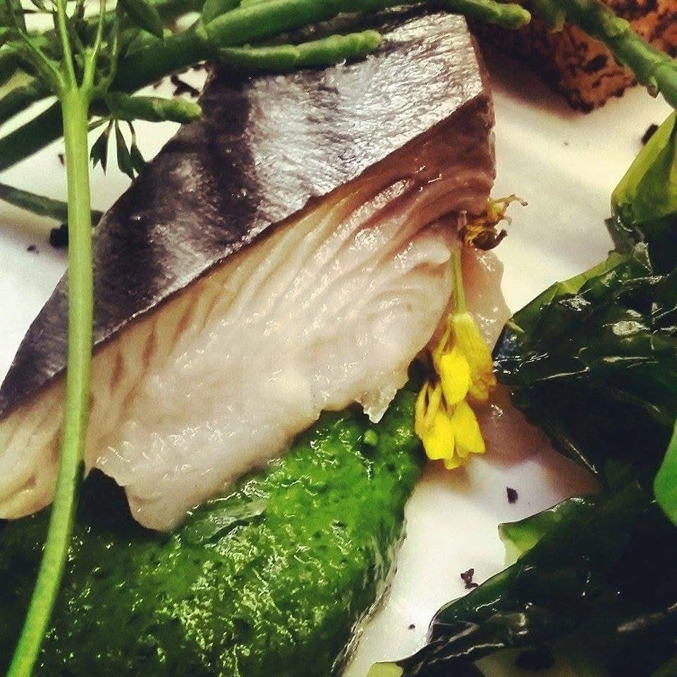 Immagine WhatsApp 2025-06-09 ore 12.36.15_77c9cadc.jpg