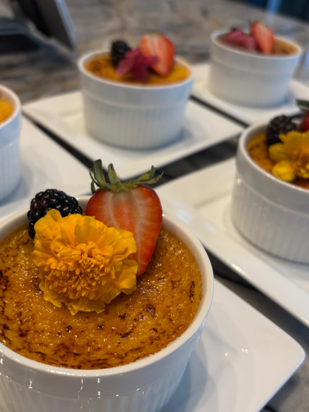 IMG_2257.jpeg IMG_2257.jpeg