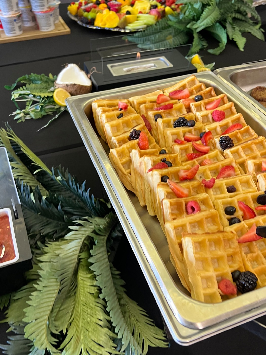 IMG_2628.jpeg IMG_2628.jpeg