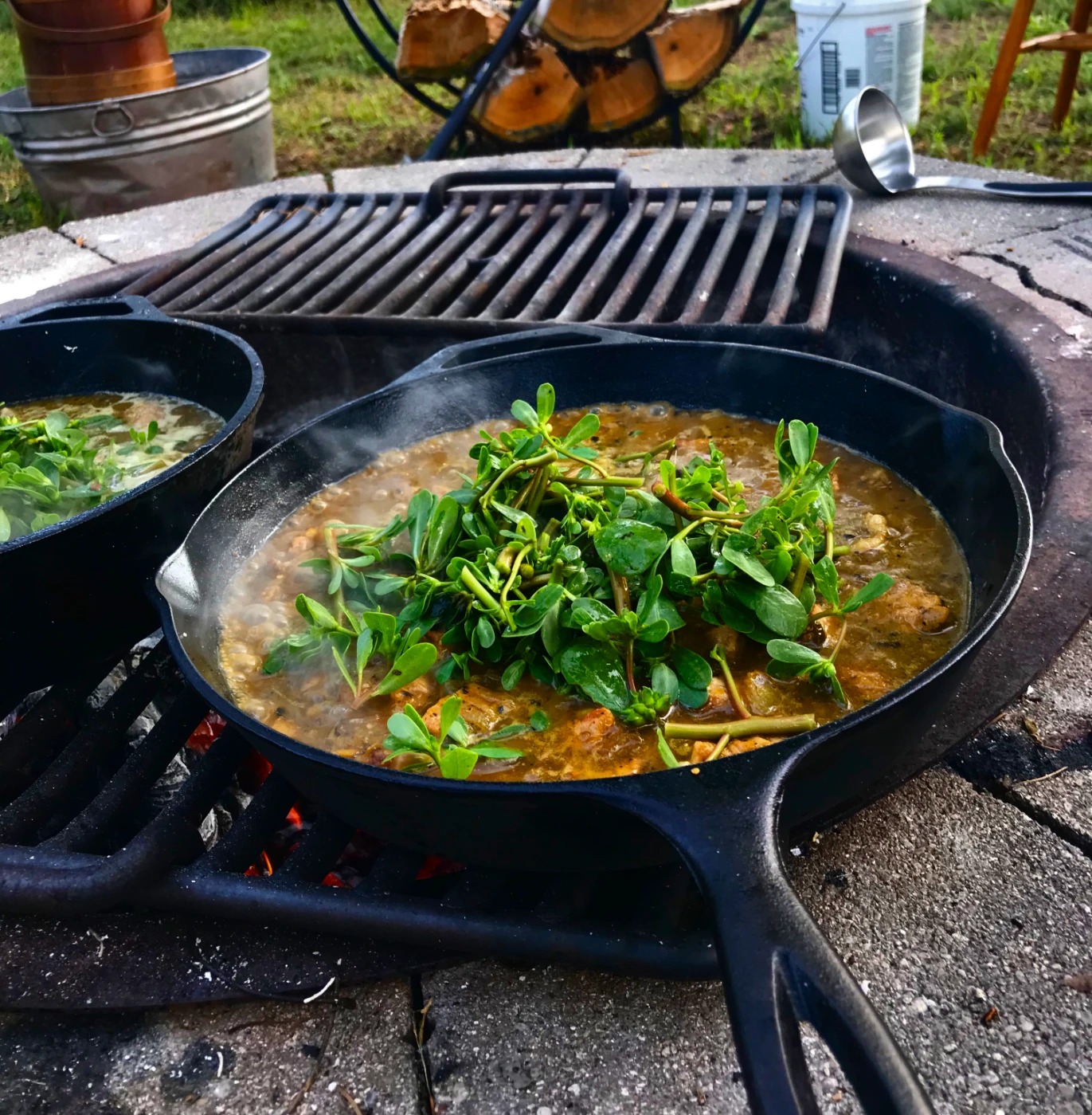 green stew crop.jpg green stew crop.jpg