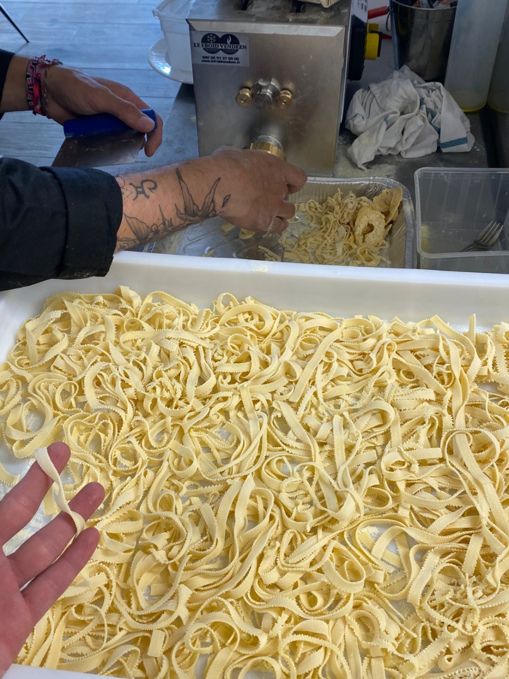 IMG_3905.jpeg IMG_3905.jpeg